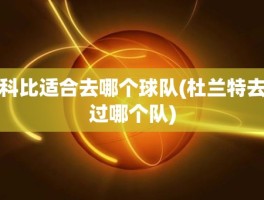 科比适合去哪个球队(杜兰特去过哪个队)