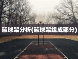 篮球架分析(篮球架组成部分)