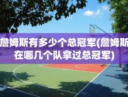 詹姆斯有多少个总冠军(詹姆斯在哪几个队拿过总冠军)