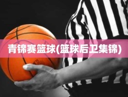 青锦赛篮球(篮球后卫集锦)