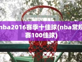 nba2016赛季十佳球(nba常规赛100佳球)