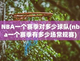 NBA一个赛季对多少球队(nba一个赛季有多少场常规赛)