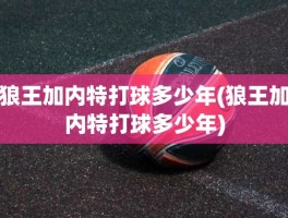 狼王加内特打球多少年(狼王加内特打球多少年)