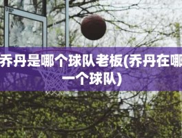 乔丹是哪个球队老板(乔丹在哪一个球队)