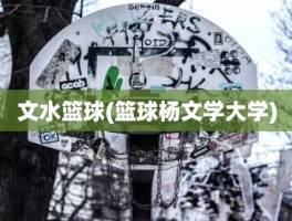 文水篮球(篮球杨文学大学)