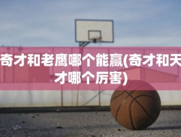 奇才和老鹰哪个能赢(奇才和天才哪个厉害)