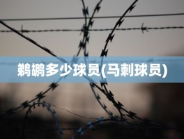 鹈鹕多少球员(马刺球员)