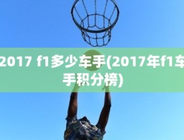 2017 f1多少车手(2017年f1车手积分榜)