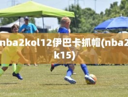 nba2kol12伊巴卡抓帽(nba2k15)