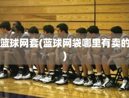 篮球网套(蓝球网袋哪里有卖的)