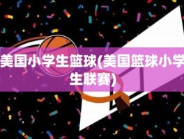 美国小学生篮球(美国篮球小学生联赛)