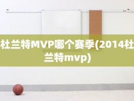 杜兰特MVP哪个赛季(2014杜兰特mvp)