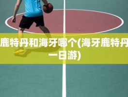 鹿特丹和海牙哪个(海牙鹿特丹一日游)