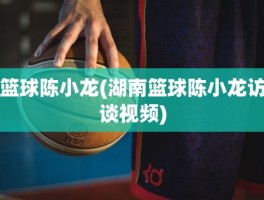 篮球陈小龙(湖南篮球陈小龙访谈视频)