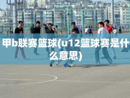 甲b联赛篮球(u12篮球赛是什么意思)