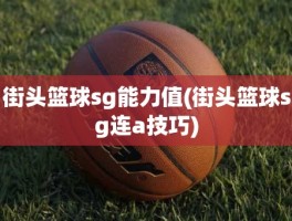 街头篮球sg能力值(街头篮球sg连a技巧)