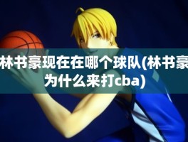 林书豪现在在哪个球队(林书豪为什么来打cba)