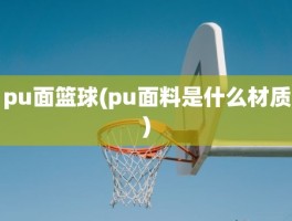 pu面篮球(pu面料是什么材质)