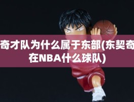 奇才队为什么属于东部(东契奇在NBA什么球队)