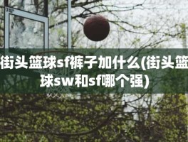街头篮球sf裤子加什么(街头篮球sw和sf哪个强)