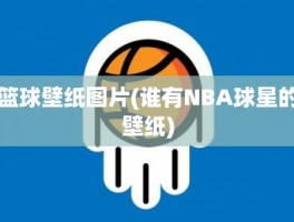 篮球壁纸图片(谁有NBA球星的壁纸)