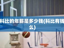 科比的年薪是多少钱(科比有钱么)