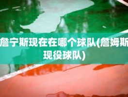 詹宁斯现在在哪个球队(詹姆斯现役球队)