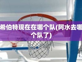 希伯特现在在哪个队(阿水去哪个队了)