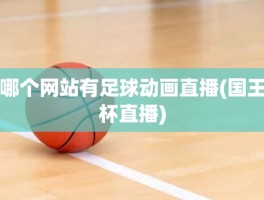 哪个网站有足球动画直播(国王杯直播)