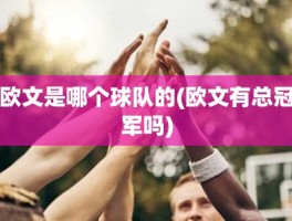 欧文是哪个球队的(欧文有总冠军吗)