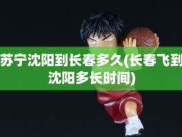 苏宁沈阳到长春多久(长春飞到沈阳多长时间)