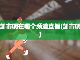 邹市明在哪个频道直播(邹市明)