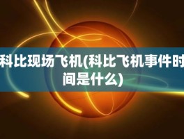 科比现场飞机(科比飞机事件时间是什么)