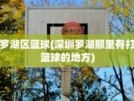 罗湖区篮球(深圳罗湖那里有打篮球的地方)