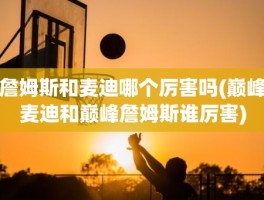 詹姆斯和麦迪哪个厉害吗(巅峰麦迪和巅峰詹姆斯谁厉害)