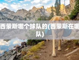 西蒙斯哪个球队的(西蒙斯在哪队)