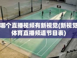 哪个直播视频有新视觉(新视觉体育直播频道节目表)