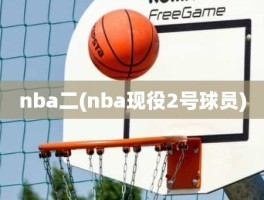 nba二(nba现役2号球员)