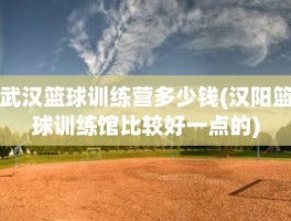武汉篮球训练营多少钱(汉阳篮球训练馆比较好一点的)