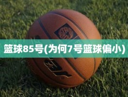 篮球85号(为何7号篮球偏小)
