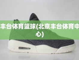 丰台体育篮球(北京丰台体育中心)
