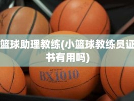 篮球助理教练(小篮球教练员证书有用吗)