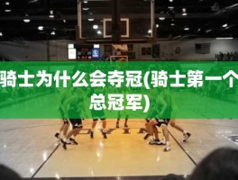 骑士为什么会夺冠(骑士第一个总冠军)