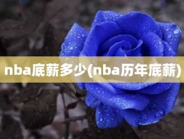 nba底薪多少(nba历年底薪)