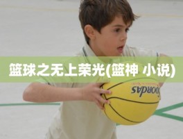 篮球之无上荣光(篮神 小说)