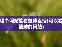 哪个网站能看篮球直播(可以看篮球的网站)