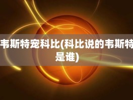 韦斯特宠科比(科比说的韦斯特是谁)