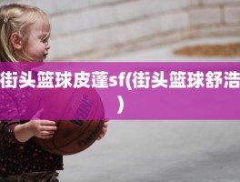 街头篮球皮蓬sf(街头篮球舒浩)