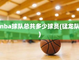 nba球队总共多少球员(猛龙队)