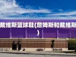戴维斯篮球鞋(詹姆斯和戴维斯)